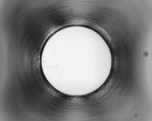 X0000103421226200810101011