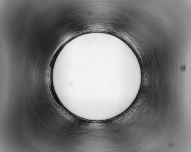 X0000103421227200810101011