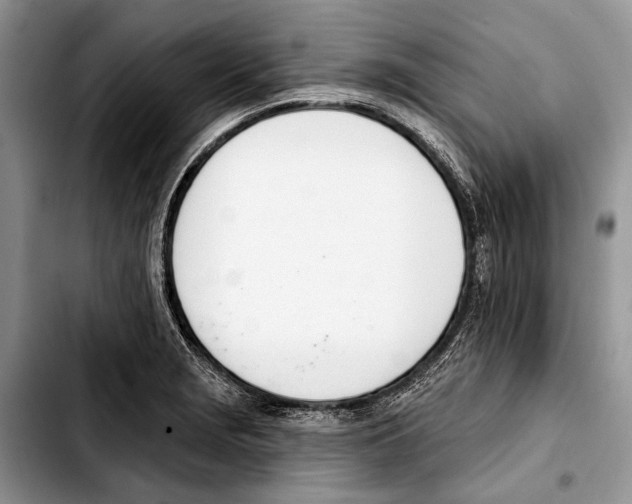 X0000103421229200810101011