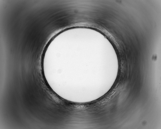 X0000103421230200810101011