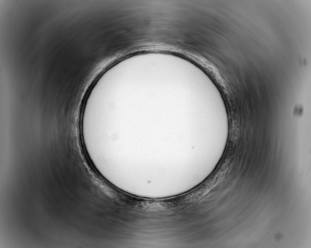 X0000103421231200810101011