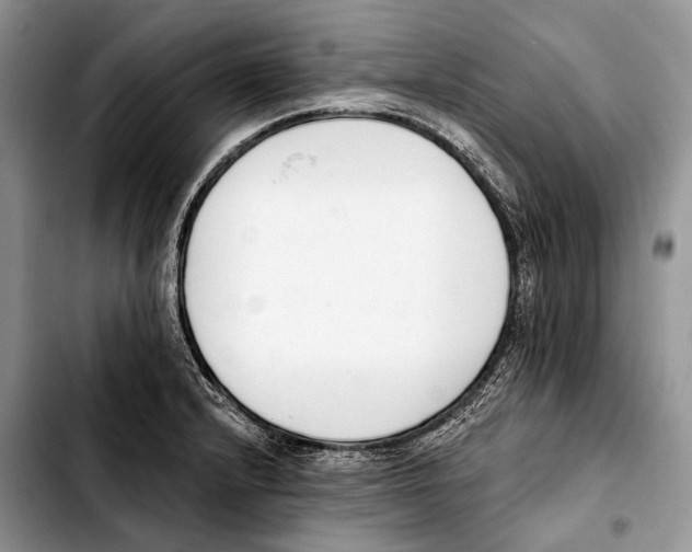 X0000103421232200810101011