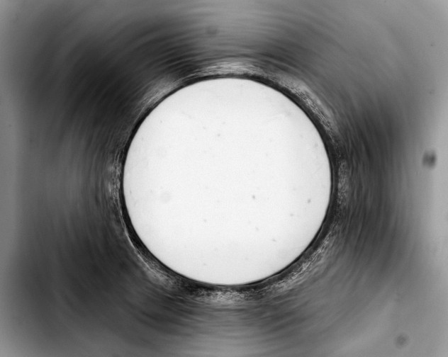 X0000103421233200810101011