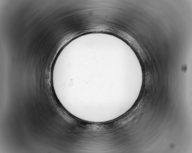 X0000103421234200810101011