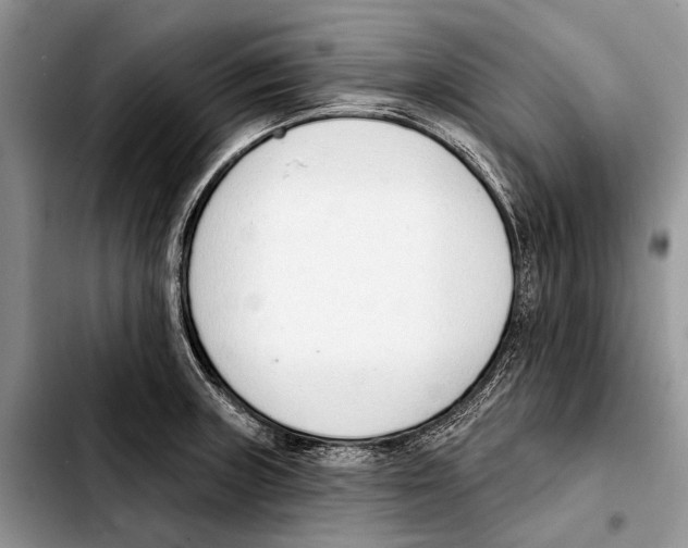 X0000103421235200810101011