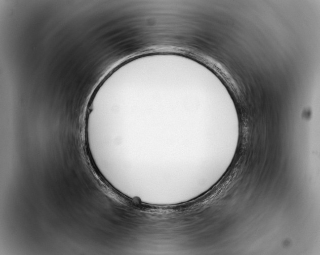 X0000103421236200810101011