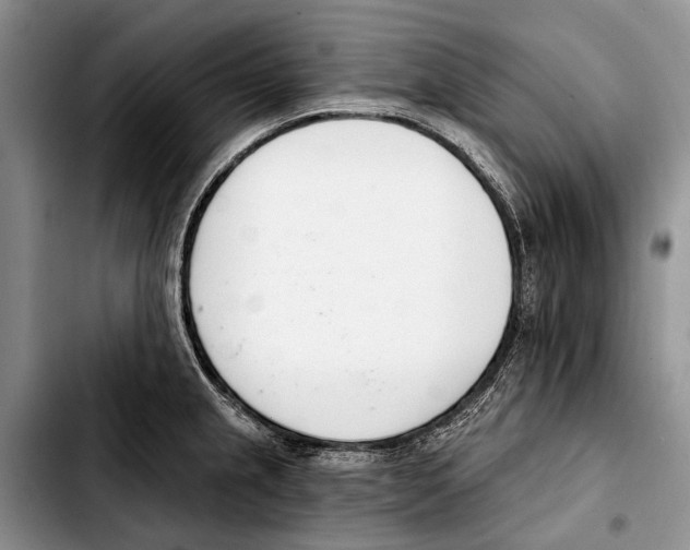 X0000103421237200810101011