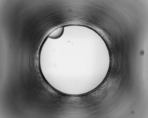 X0000103421238200810101011