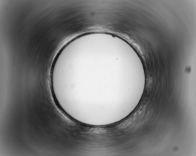 X0000103421239200810101012