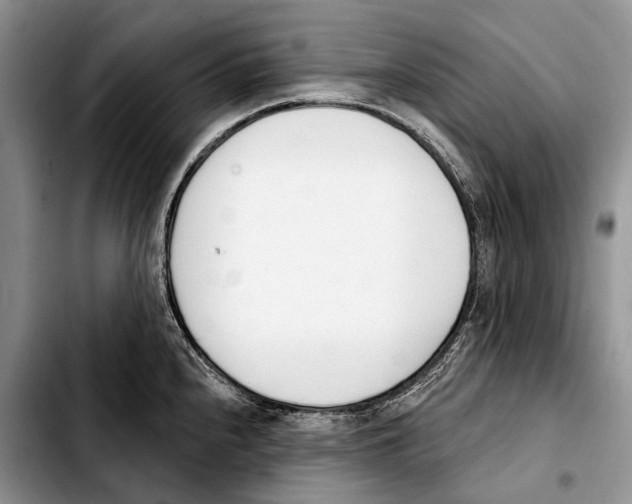 X0000103421240200810101012