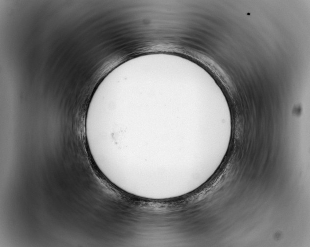 X0000103421241200810101012