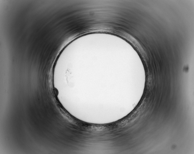 X0000103421242200810101012