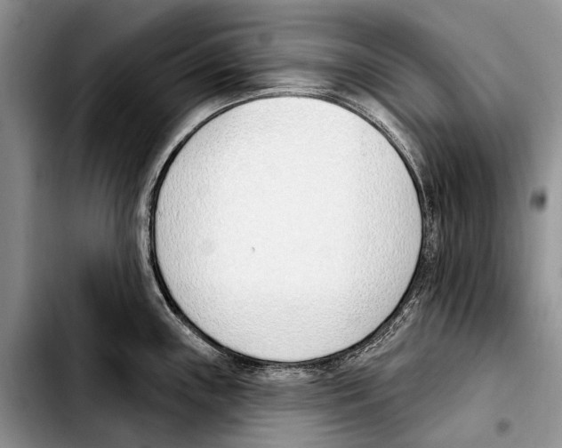 X0000103421243200810101012