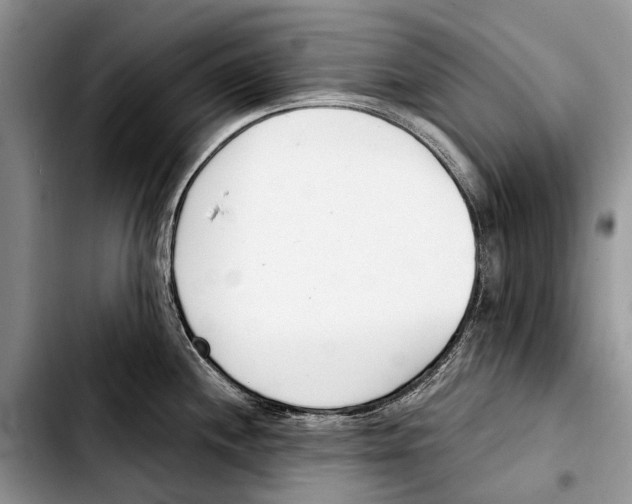 X0000103421244200810101012