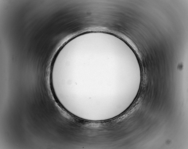 X0000103421245200810101012