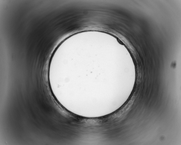 X0000103421246200810101012
