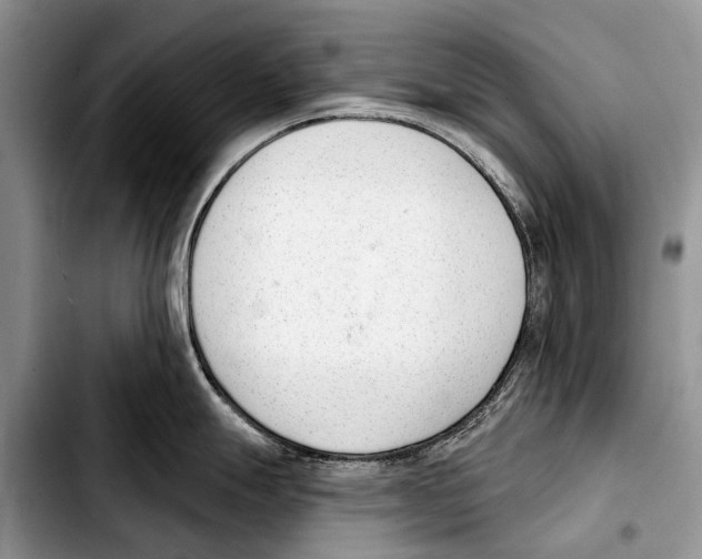 X0000103421247200810101012