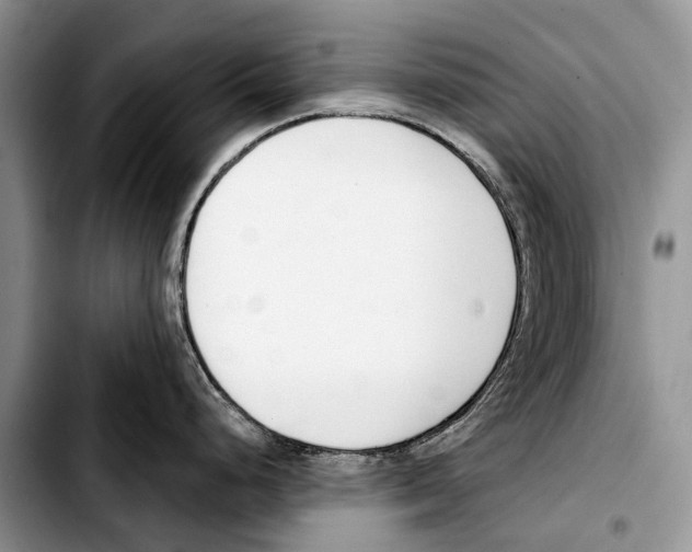 X0000103421248200810101012