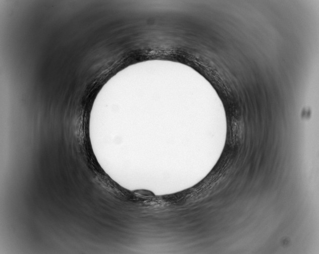 X0000103421250200810101011