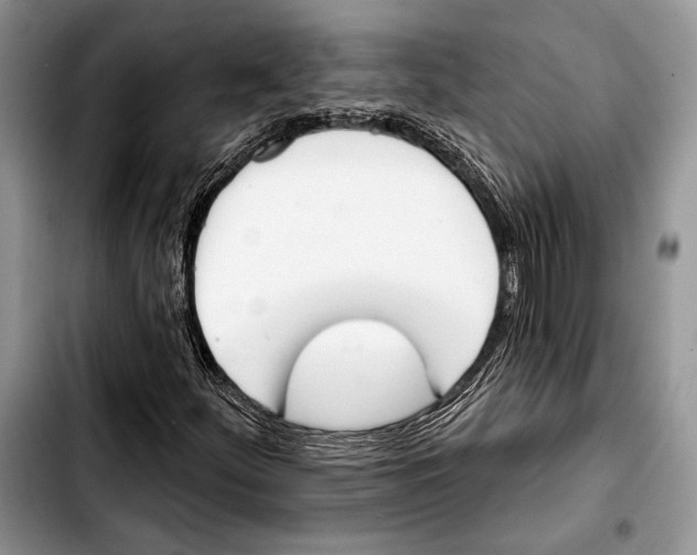 X0000103421252200810101011