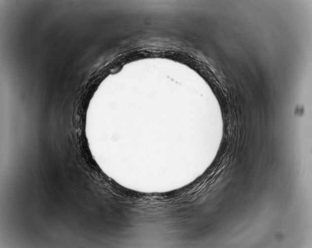 X0000103421253200810101011