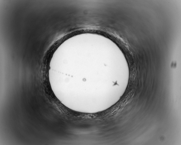 X0000103421255200810101011