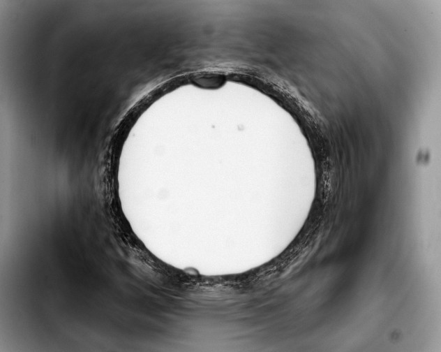 X0000103421256200810101011