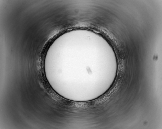 X0000103421258200810101011