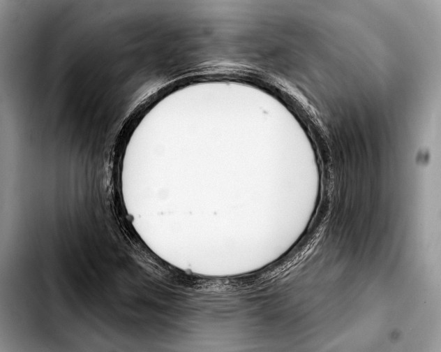X0000103421259200810101011