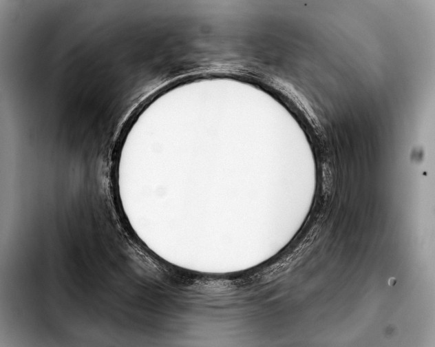 X0000103421260200810101011