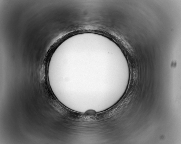 X0000103421262200810101011
