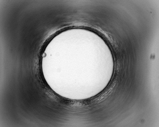 X0000103421263200810101011