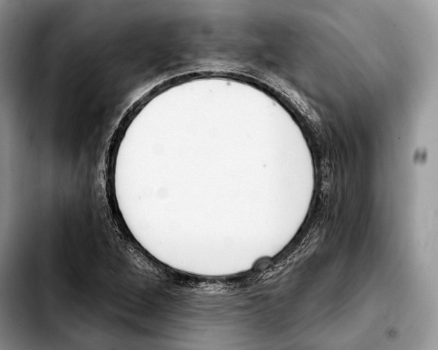 X0000103421264200810101011