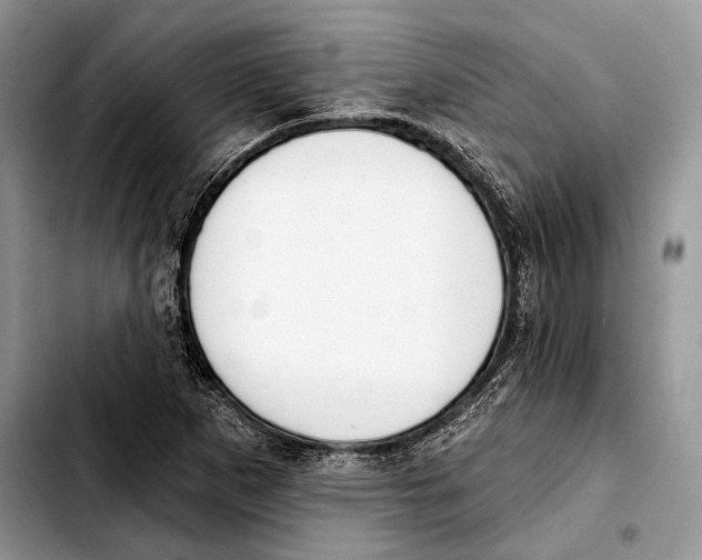 X0000103421265200810101011
