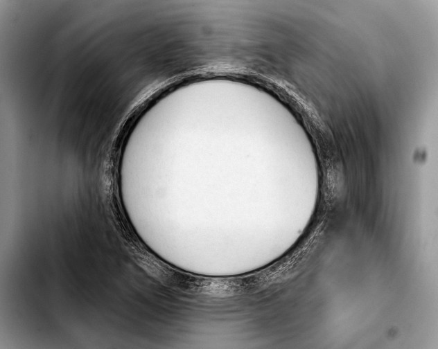 X0000103421266200810101011