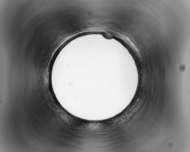 X0000103421268200810101011