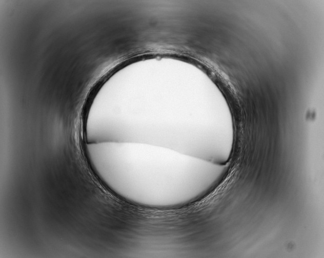 X0000103421269200810101011