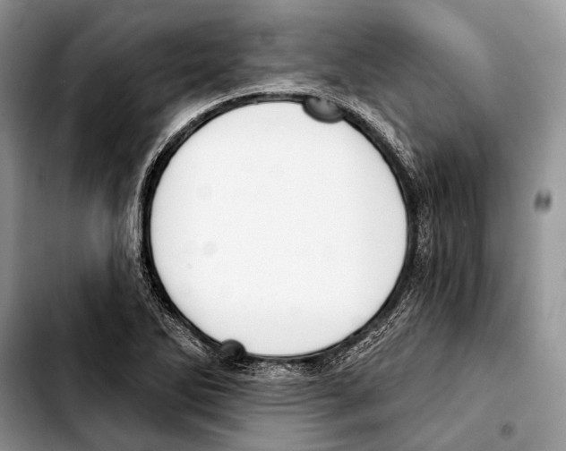 X0000103421270200810101011