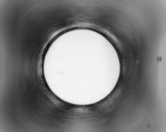 X0000103421272200810101011