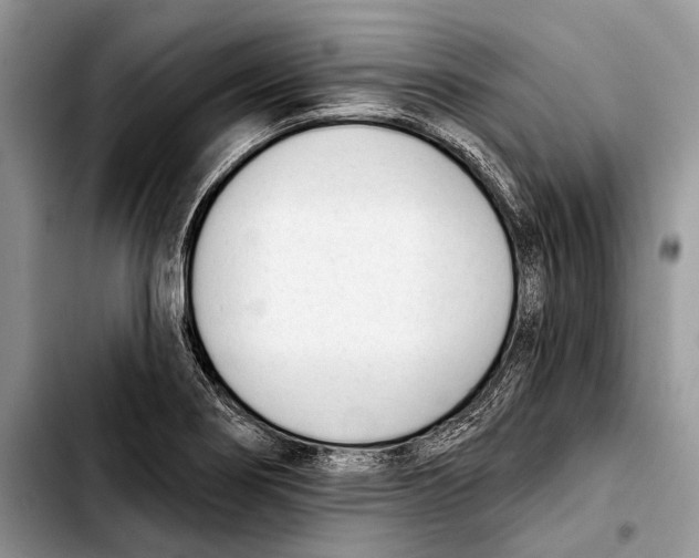 X0000103421274200810101011