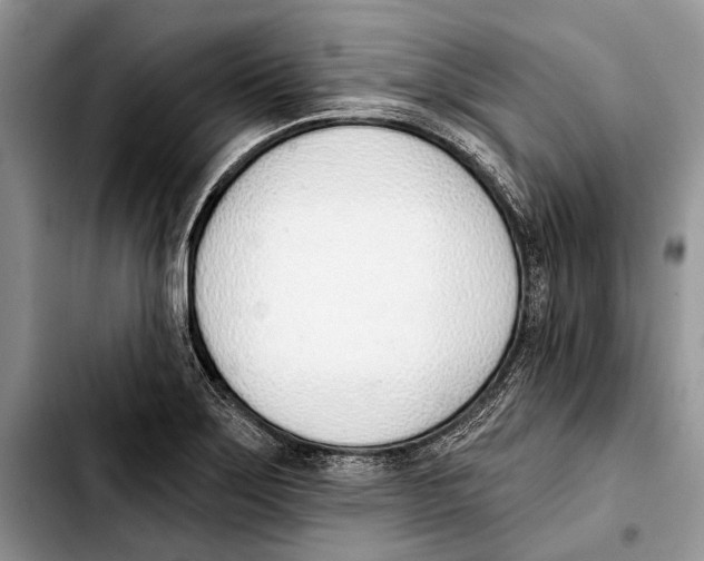 X0000103421275200810101011
