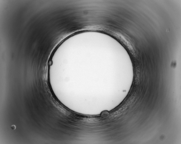 X0000103421276200810101011