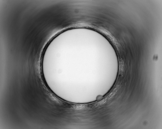X0000103421278200810101011