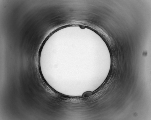 X0000103421280200810101011