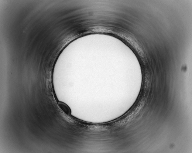 X0000103421281200810101011