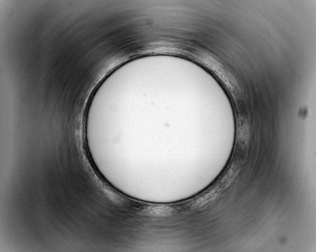 X0000103421282200810101010
