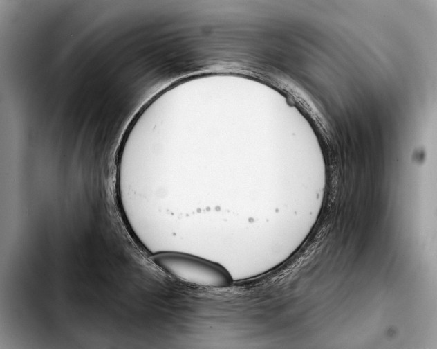 X0000103421284200810101010