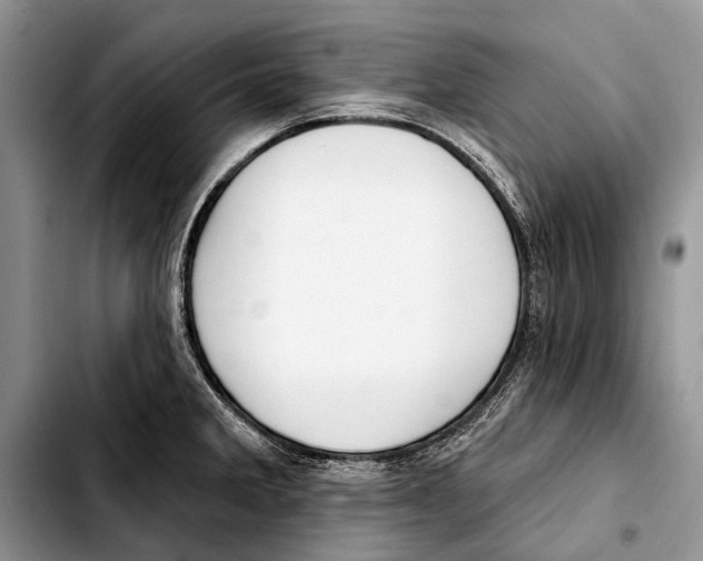 X0000103421285200810101010