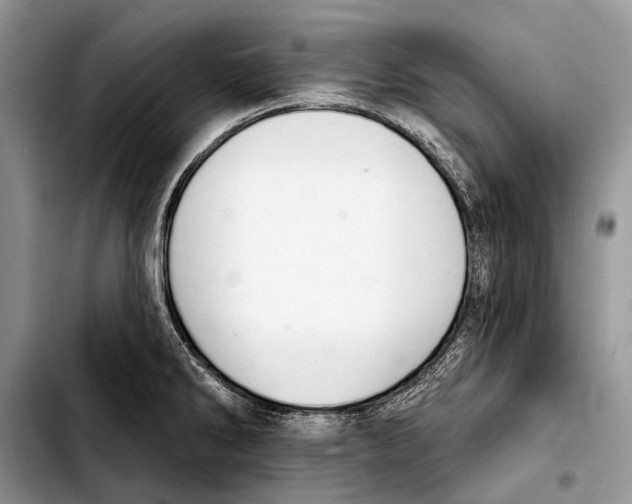 X0000103421286200810101010