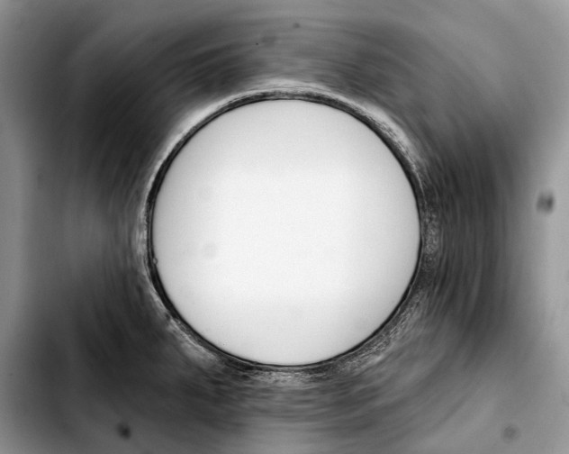 X0000103421287200810101010